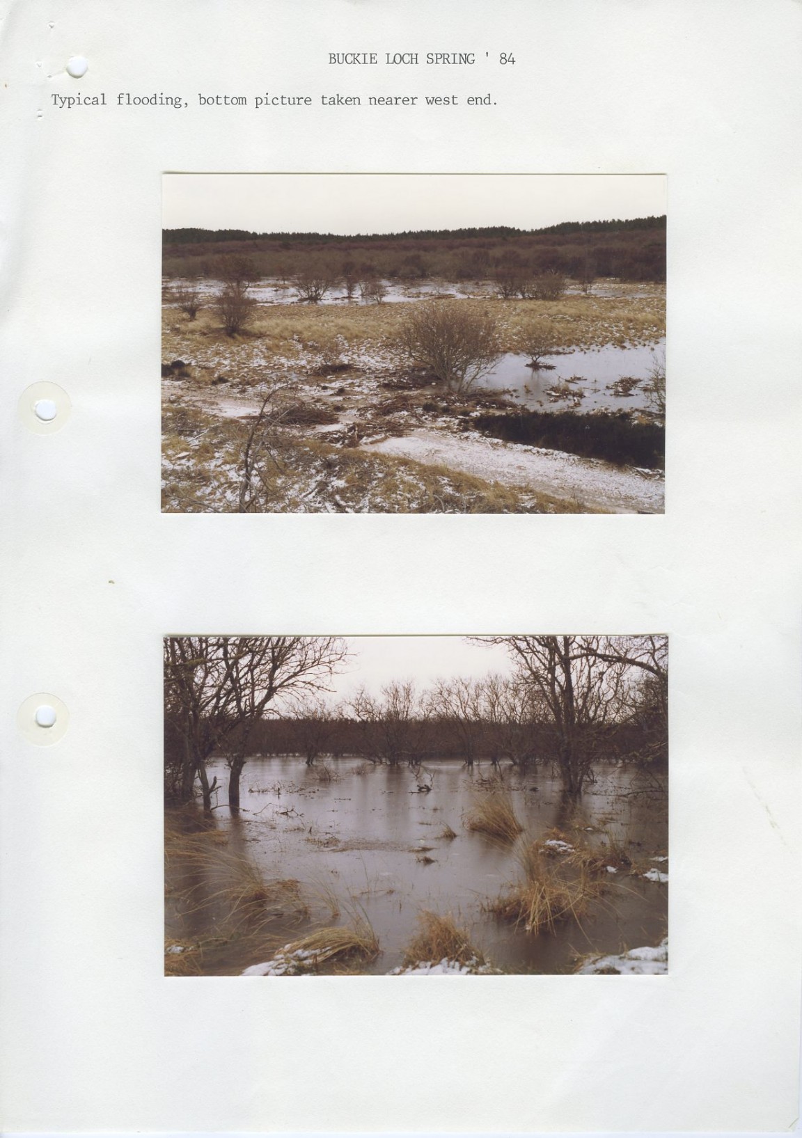 Investigation note into Buckie Loch area on winter flooding, tree nutrition and rooting  - Culbin Forest