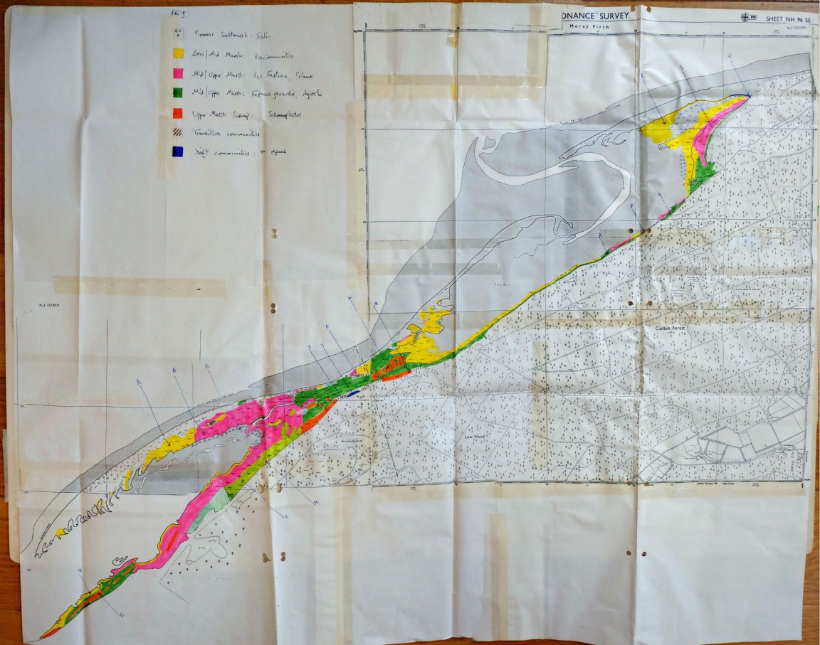 Survey of Culbin Forest salt marsh area by Dr Una Urquhart of NCC, Aberdeen