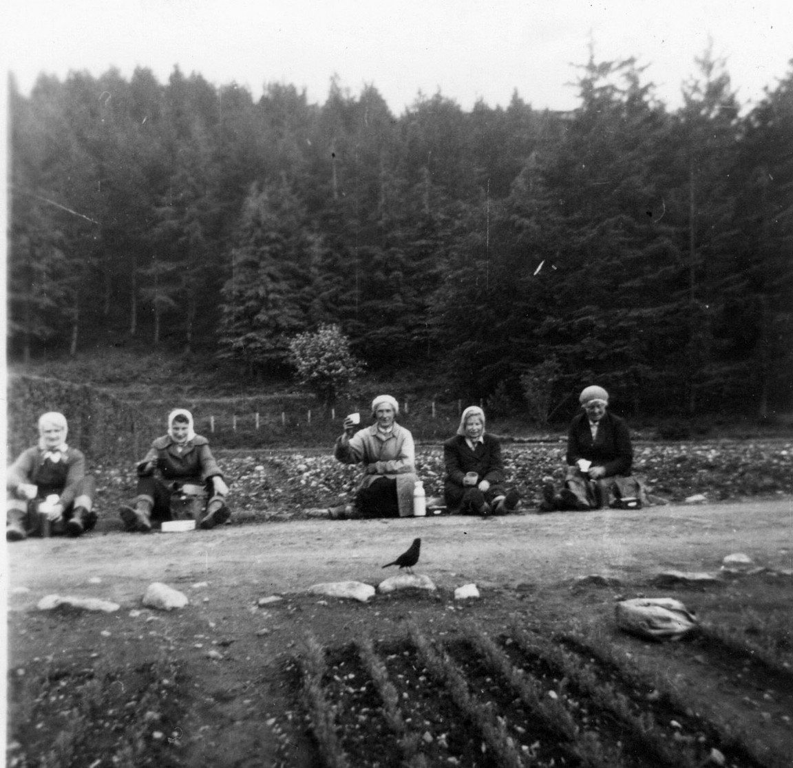 Fort Augustus Nursery - Weeding Squad Circa 1955