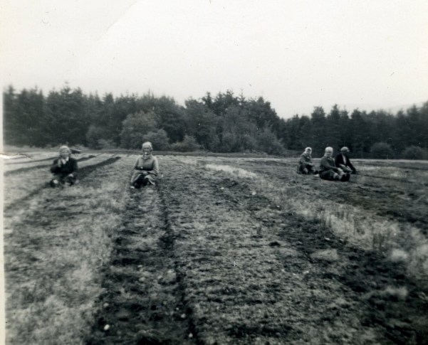 Fort Augustus Nursery - Weeding Squad Circa 1955