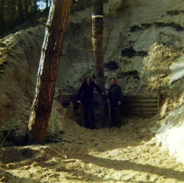 Culbin Forest and buried trees circa 1980