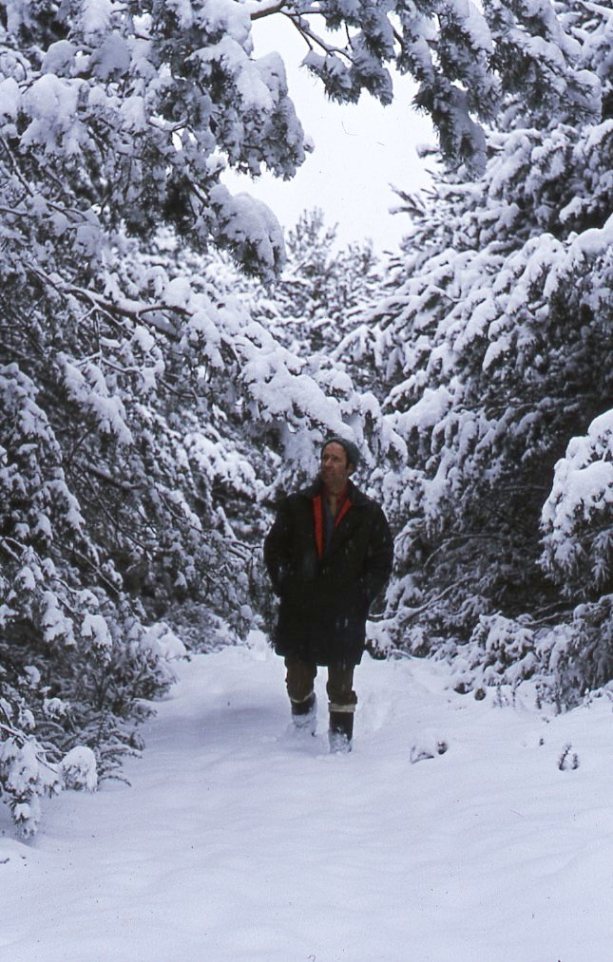 Culbin Forest - In the snow