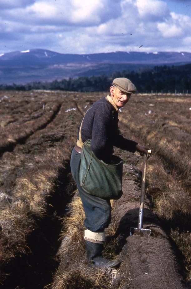 Jimmy Carmichael planting at Rannoch