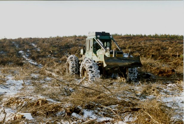 Donaren Scarifier in Fetteresso Forest 