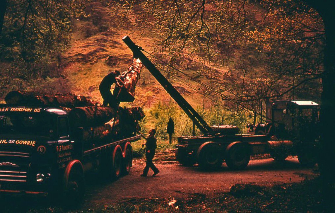 Loading heavy timber with mobile crane circa1955