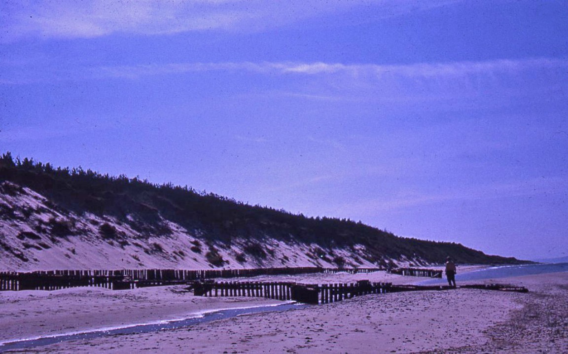 Coastal erosion control work at Culbin Forest 1973