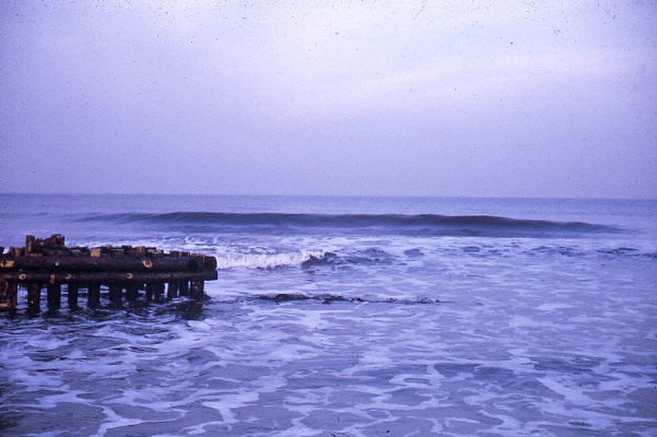 Coastal erosion control work at Culbin Forest 1974