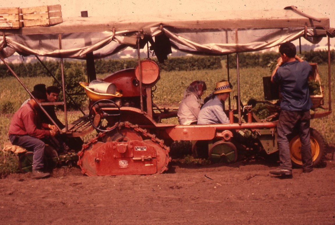 Lining out machine at work - location unknown