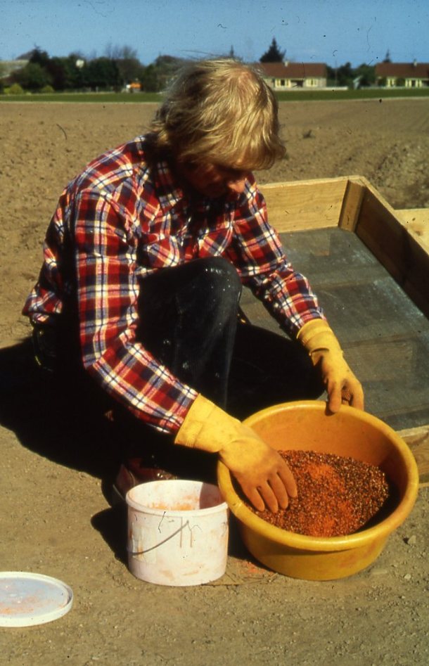 Sandy Main preparing tree seed, Newton Nursery