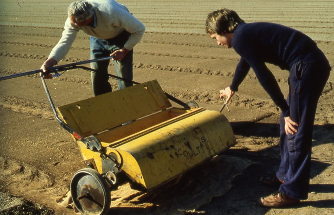 Sowing seed in Newton Nursery circa 1981