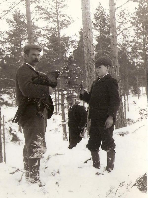 Captive Capercailzie