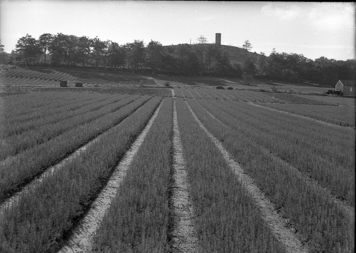 Newton Nursery 1936