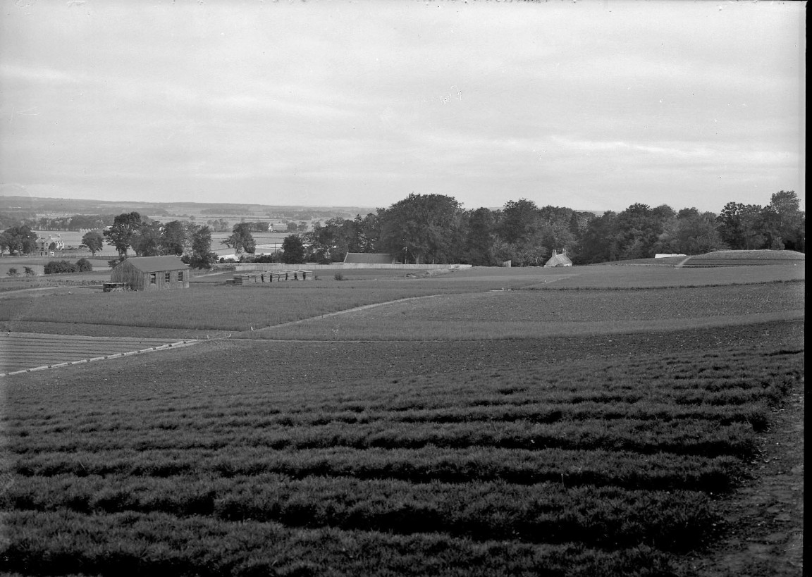 Newton Nursery 1936