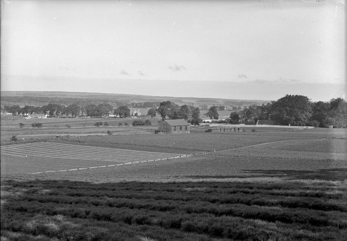 Newton Nursery 1936