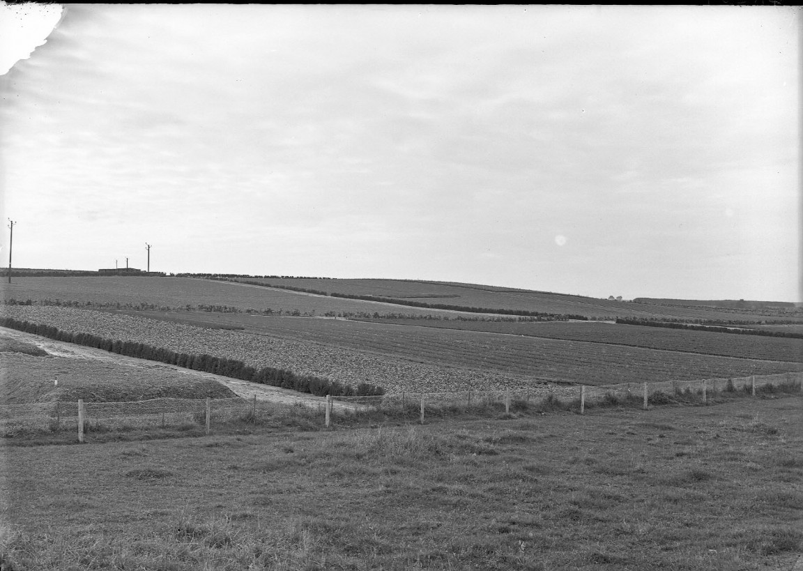 Newton Nursery 1936
