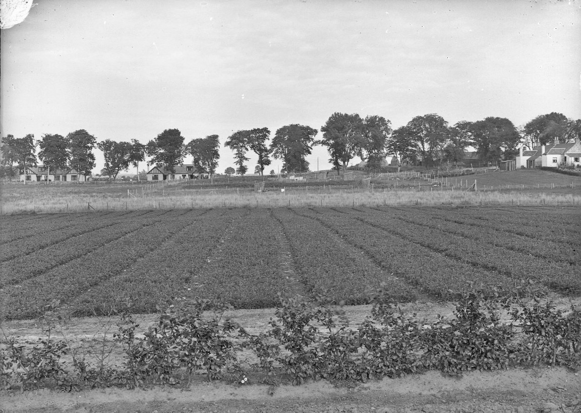 Newton Nursery 1936