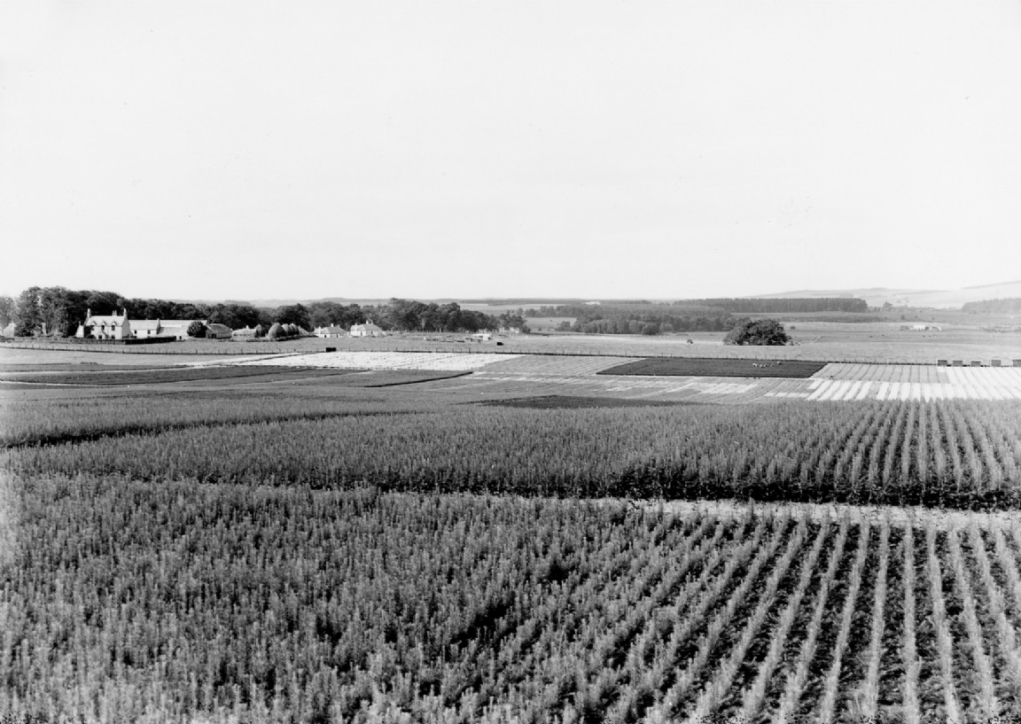 Newton Nursery 1936