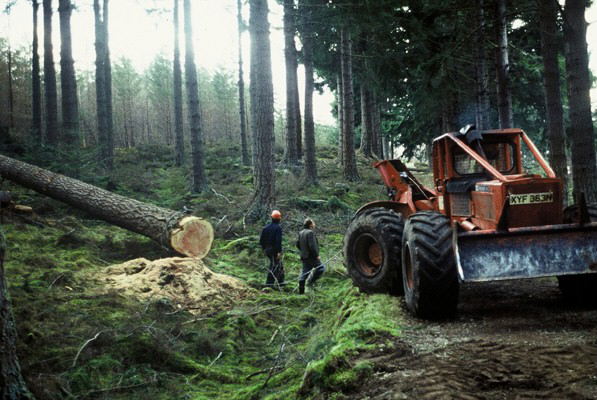Timberjack Skidder