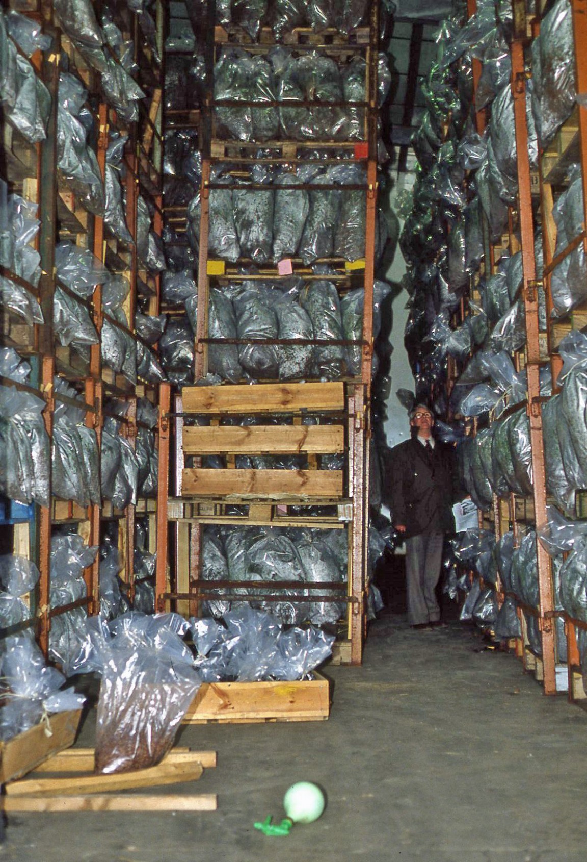 Newton Nursery cold starage of plants 1981