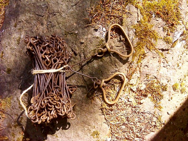 Gunter's Chain